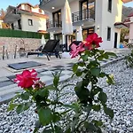 Villa Ask