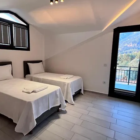 Ask فيلة فتحية